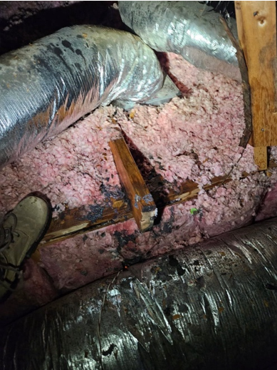 Captura de pantalla 2025-10-13 134249