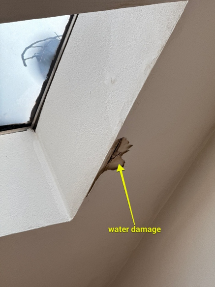 Captura de pantalla 2025-10-13 134725